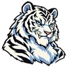 Tigre Blanco Tigre Blanco